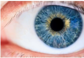 Close-up of a blue eyeball