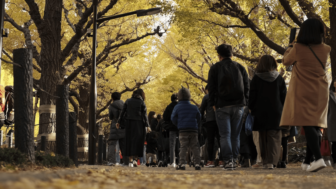 streamlining entry with festival ticketing booths